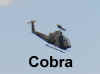Cobra1 (Small).jpg (18386 bytes)