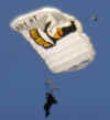 Chute1 (Small).jpg (14250 bytes)