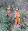 Carvings2 (Small).jpg (74770 bytes)