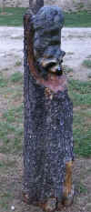 Carvings8 (Small).jpg (27266 bytes)